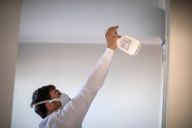 Best White Mold Remediation in Carmi, IL