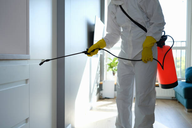 Best Residential Mold Remediation in Carmi, IL